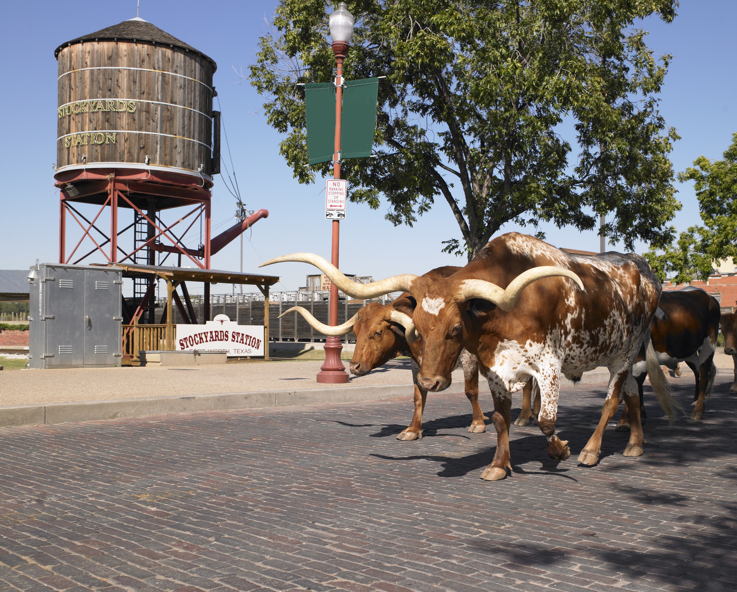 Fort Worth Employees Vote for Meaningful Pension Reform