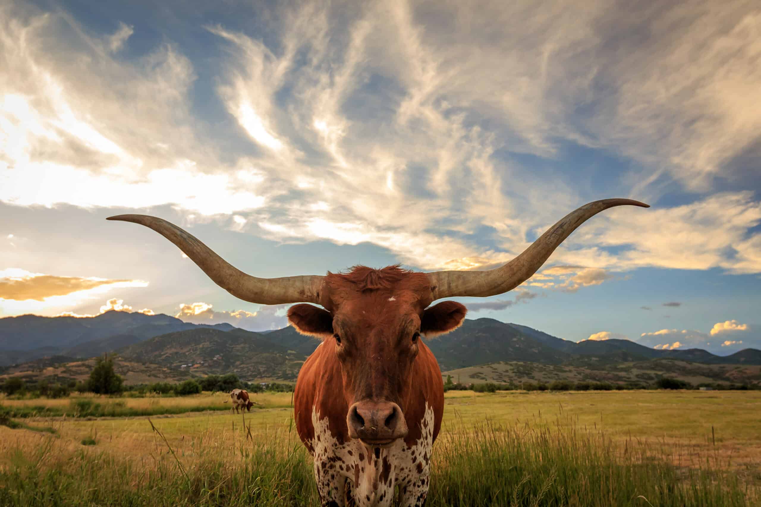 Protecting Public Education and the Texas Teacher Retirement System